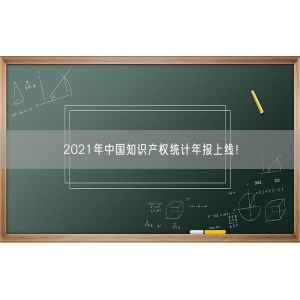 2021年中国知识产权统计年报上线！